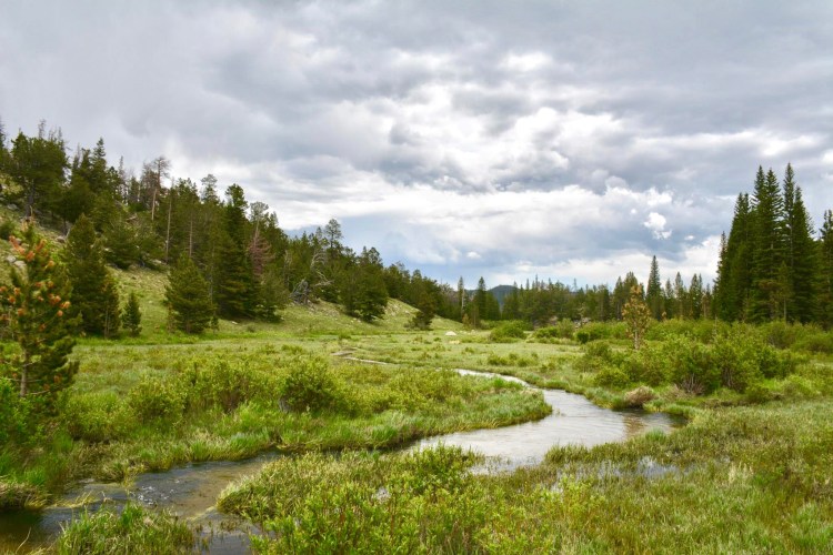 10428274_10152193395342467_6779825772892816298_o (1).jpg